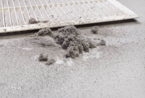 Best Air Duct Cleaning Company Near Me  in Miramar, FL