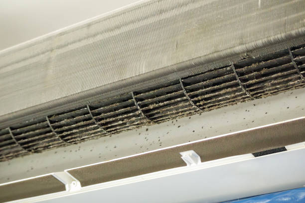 Best Best Air Duct Cleaning Company  in Miramar, FL